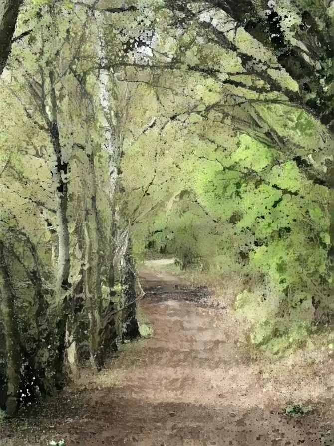 Tunnel of trees 