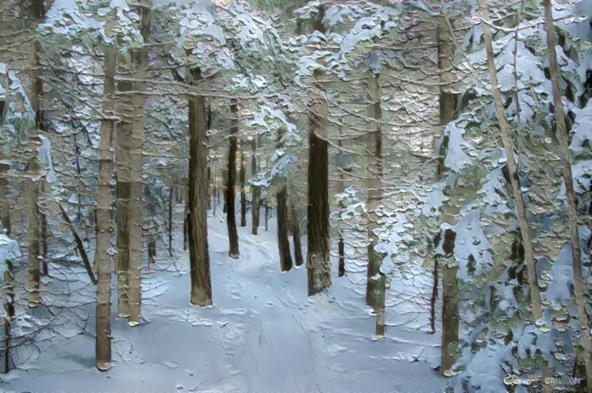 Winter Scenery in Bas-Saint-Laurent (Eastern Quebec)