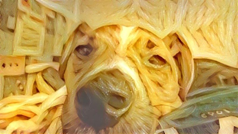 Spaghetti Doggo