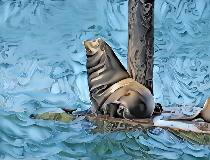 Seal on a pier - photographer D Berk