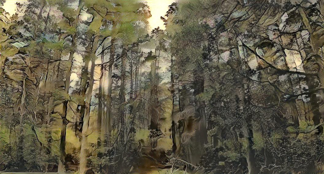 Pine Barrens