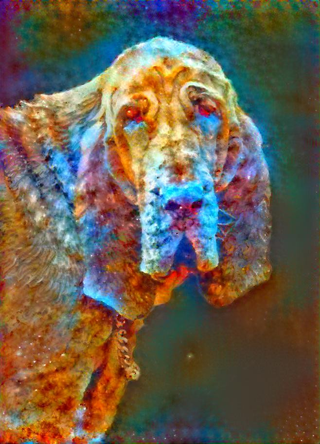 My bloodhound girl Iranda