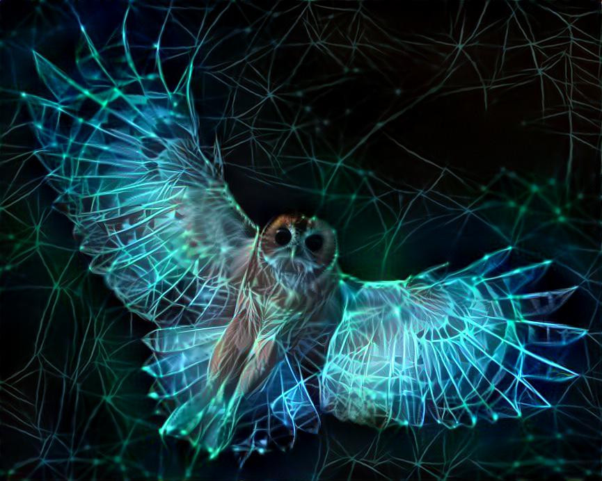 Plexus Owl