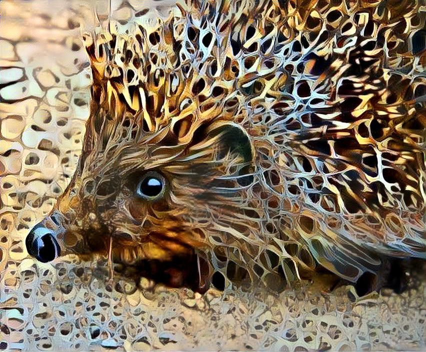 Porcupine 