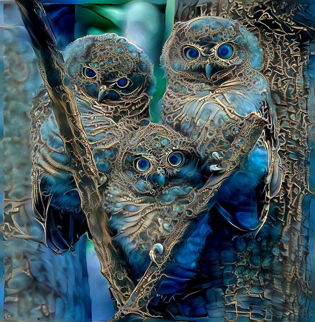 Three little owls 