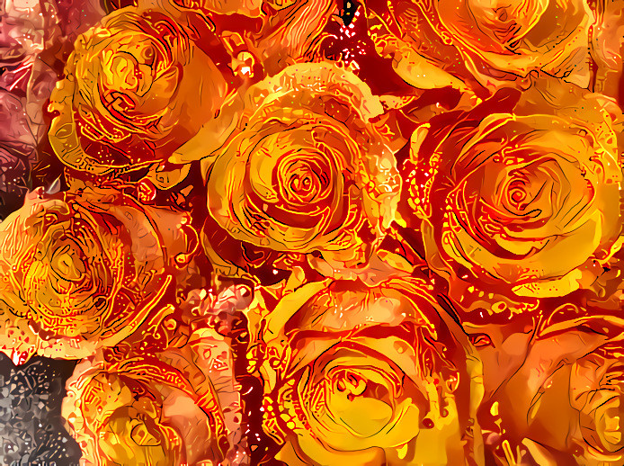 Brilliant Orange Roses #4