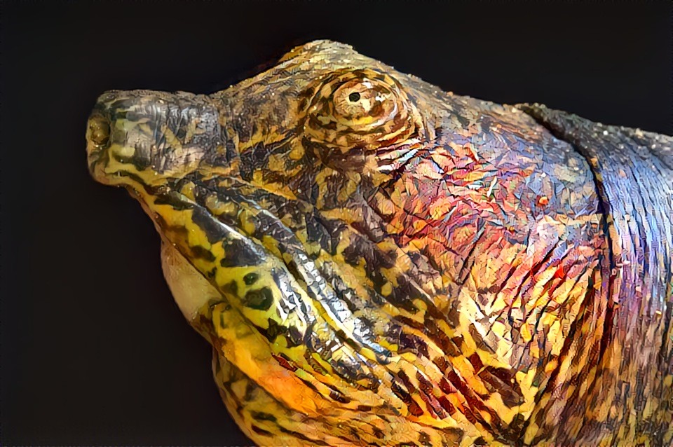 Redreaming Extinction Series Yangtze Giant Softshell Turtle