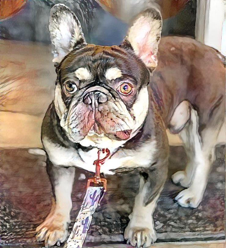 Frenchiemix1