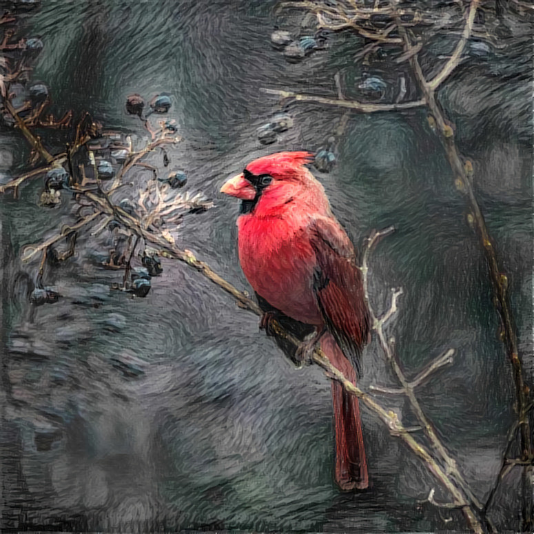 Northern Cardinal