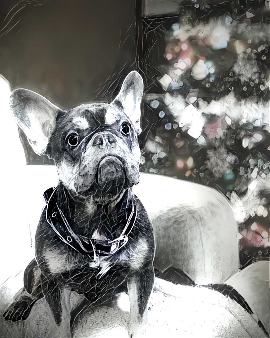 A friend's dog | Style from DDG Community, Popular Styles