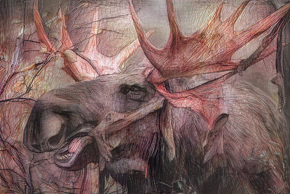 Red Elk