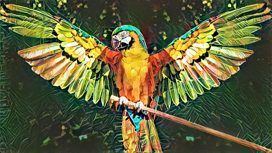 The Geometric Golden Macaw 