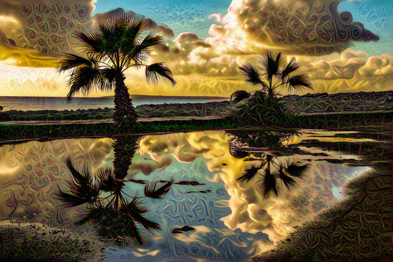 Palm Trees, Clouds, Reflections