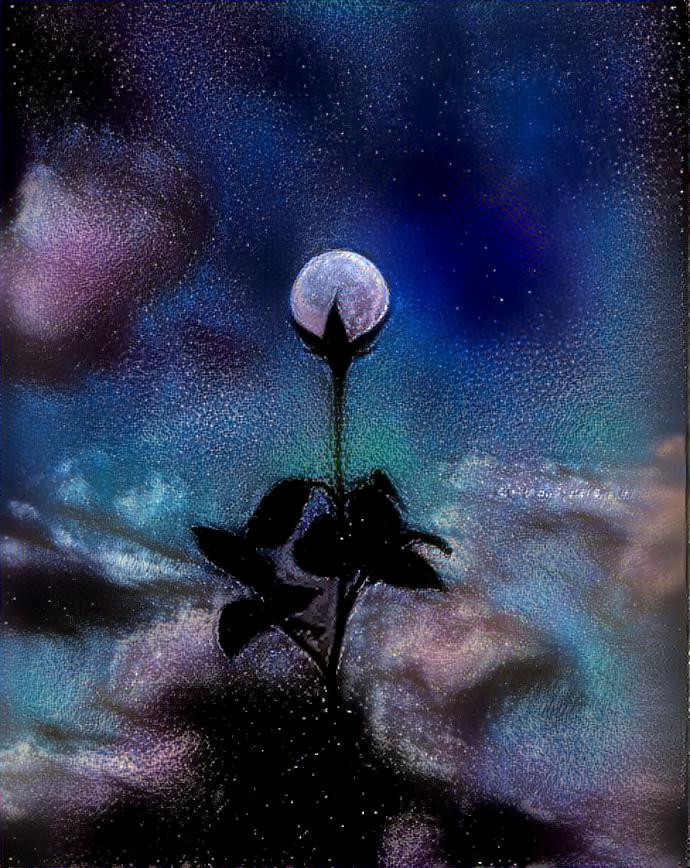 Moody moon bloom