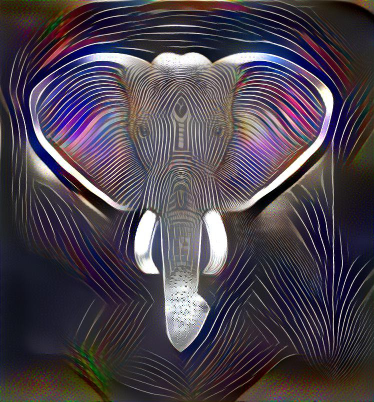 Elephant Head