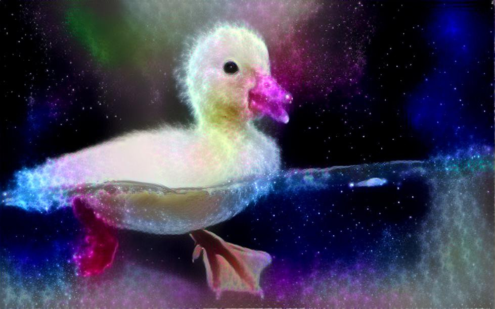 Space Duck