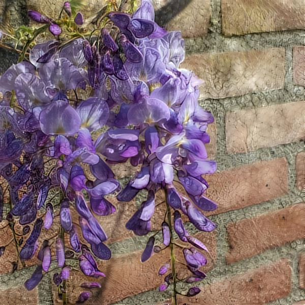 Blue rain at neighbours wall