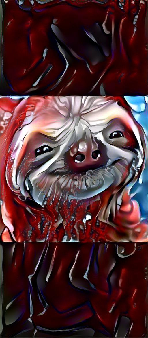 Drip sloth