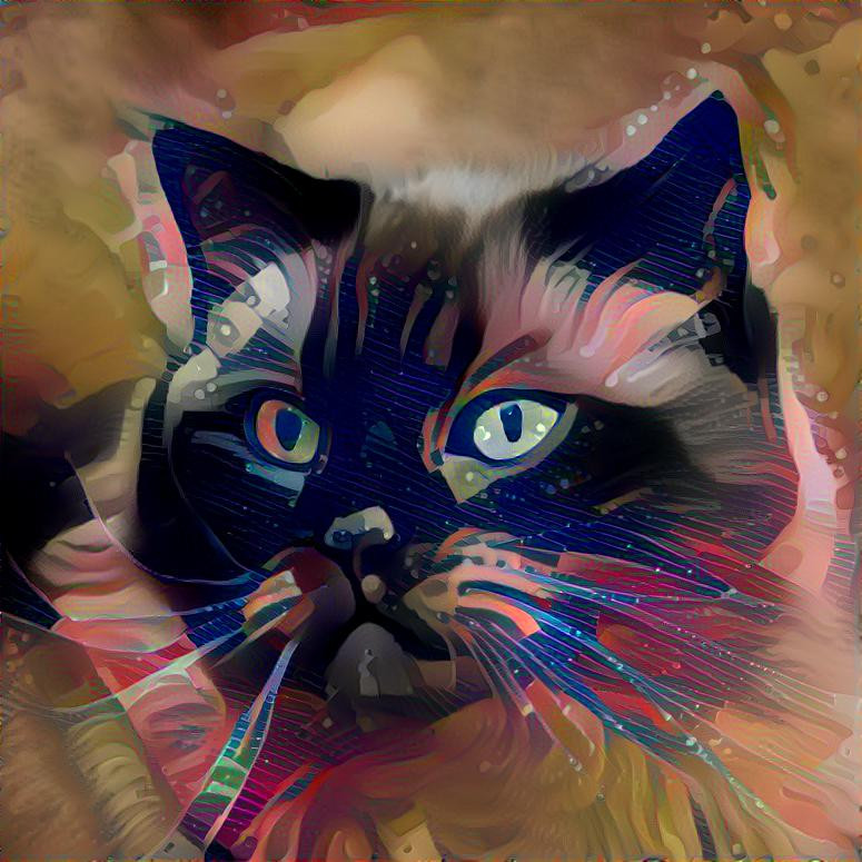 Style: Picture by Viscious-Speed (Pixabay) ; Photo: StyleGAN2 generated cat