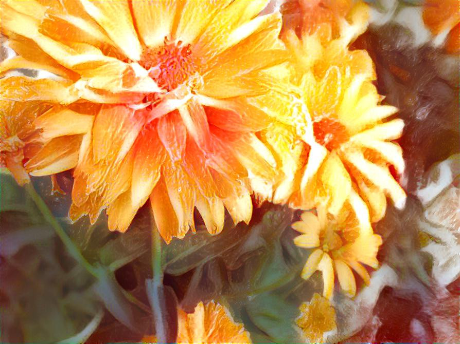 Yellow Glow Flowers