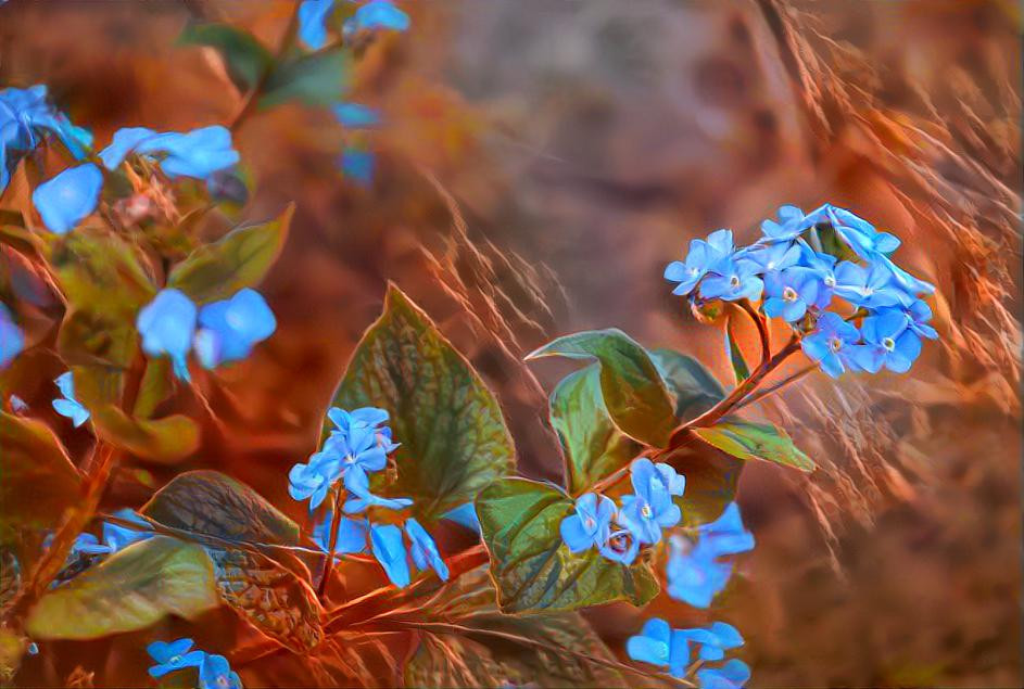 July 4 is Plumbago Day