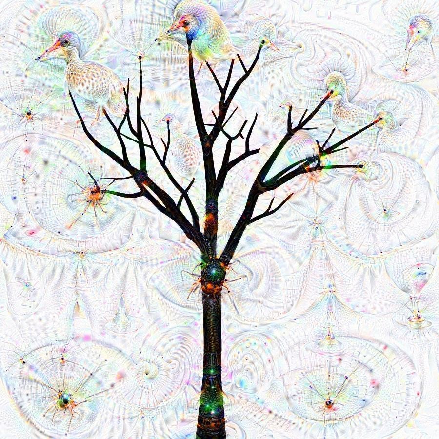 Tree Dream