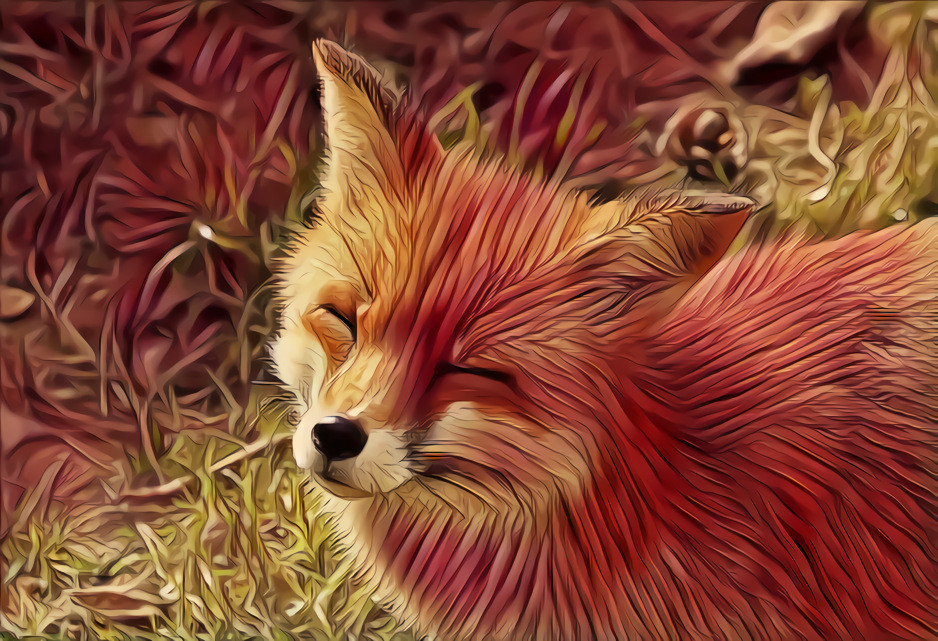 Happy fox