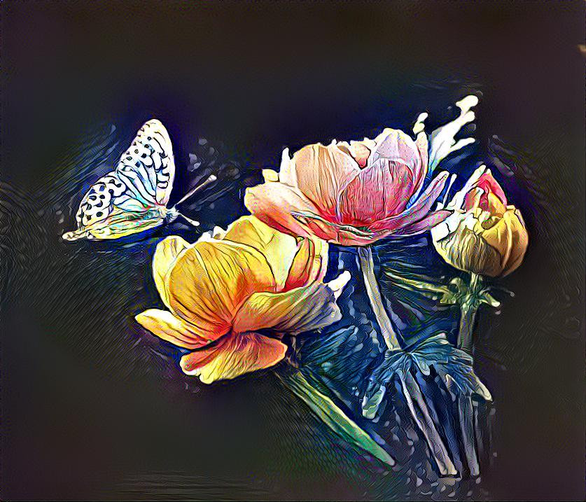 Butterfly 