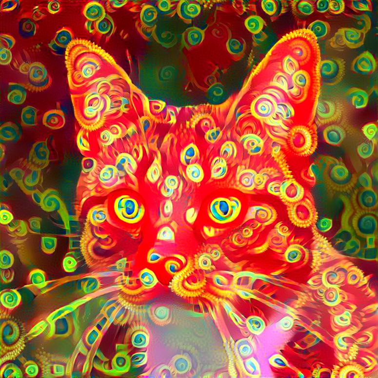 Style: Picture by Viscious-Speed (Pixabay) ; Photo: StyleGAN2 generated cat