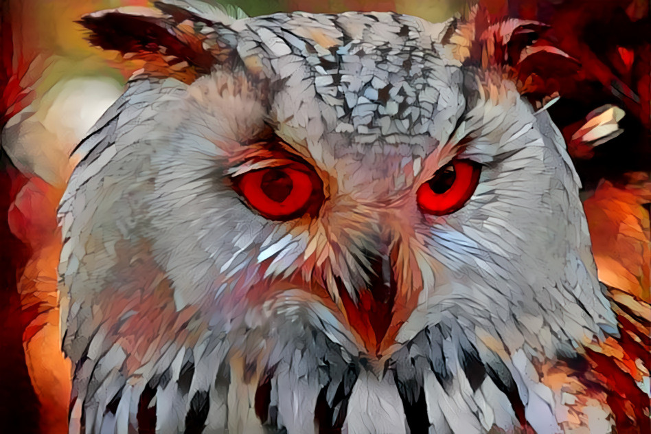 Evil Owl