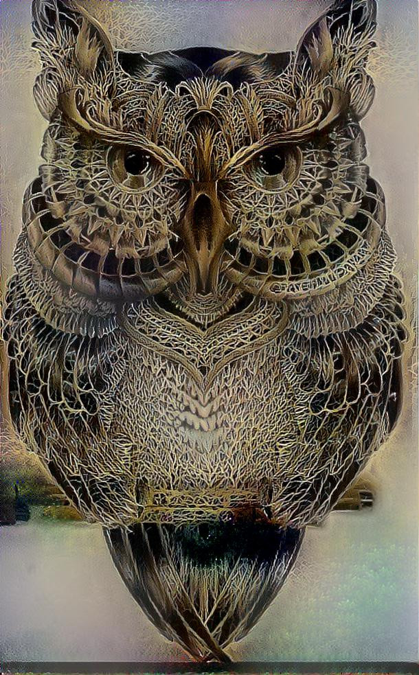  Dark owl