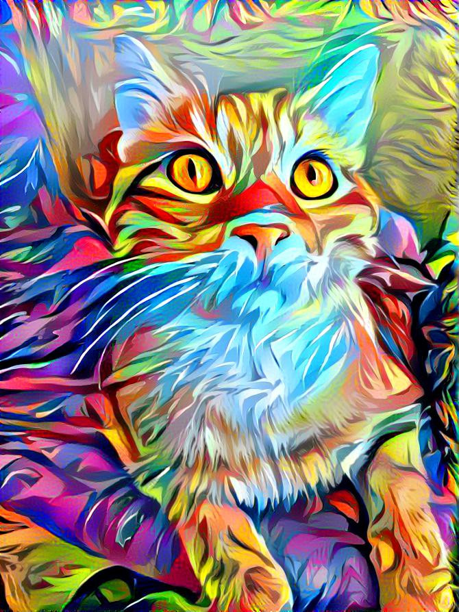 Cat in color