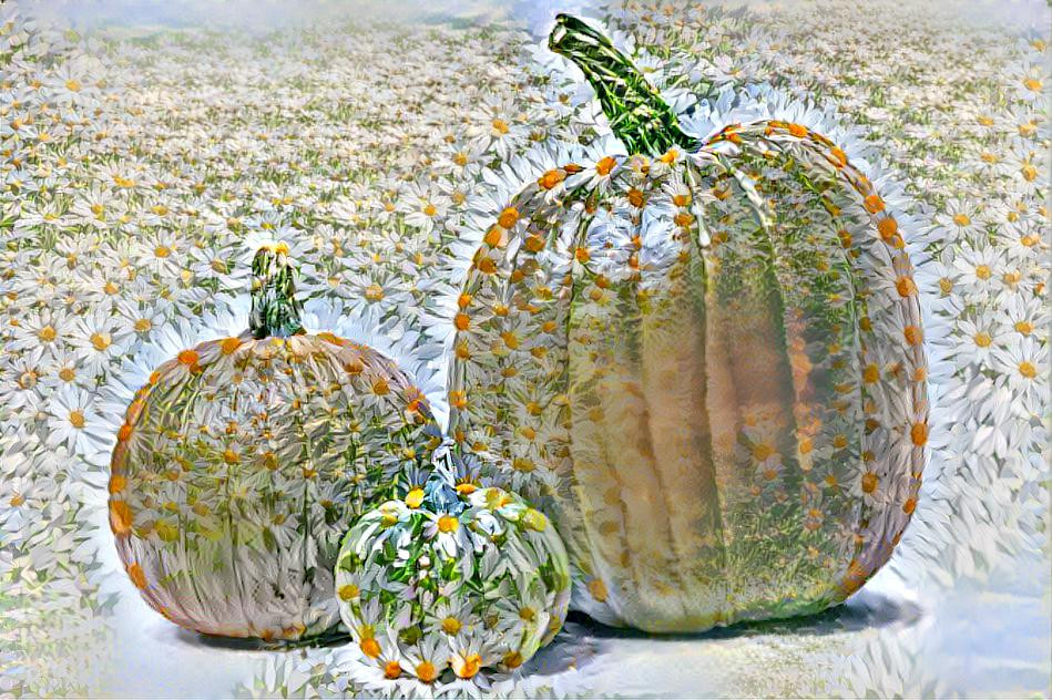 Pumpkins