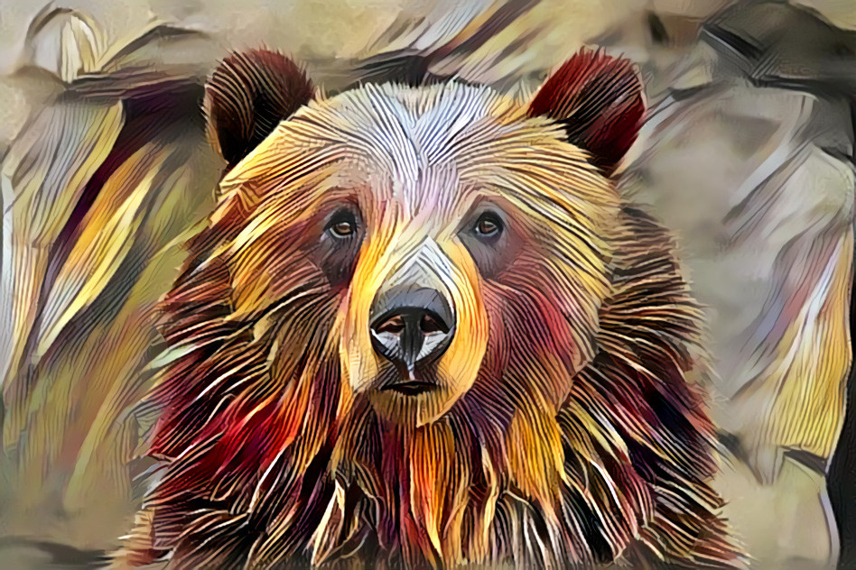 Grizzly Bear