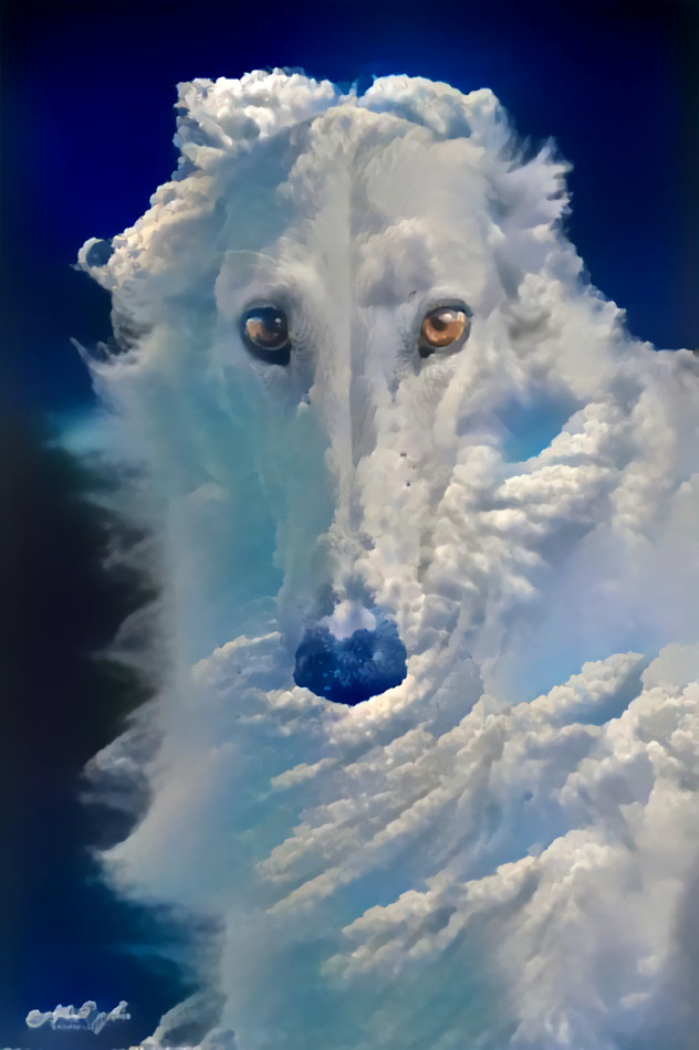 Borzoi Greyhound