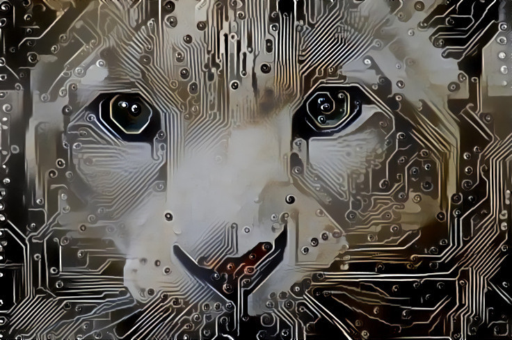 Cyber Snep