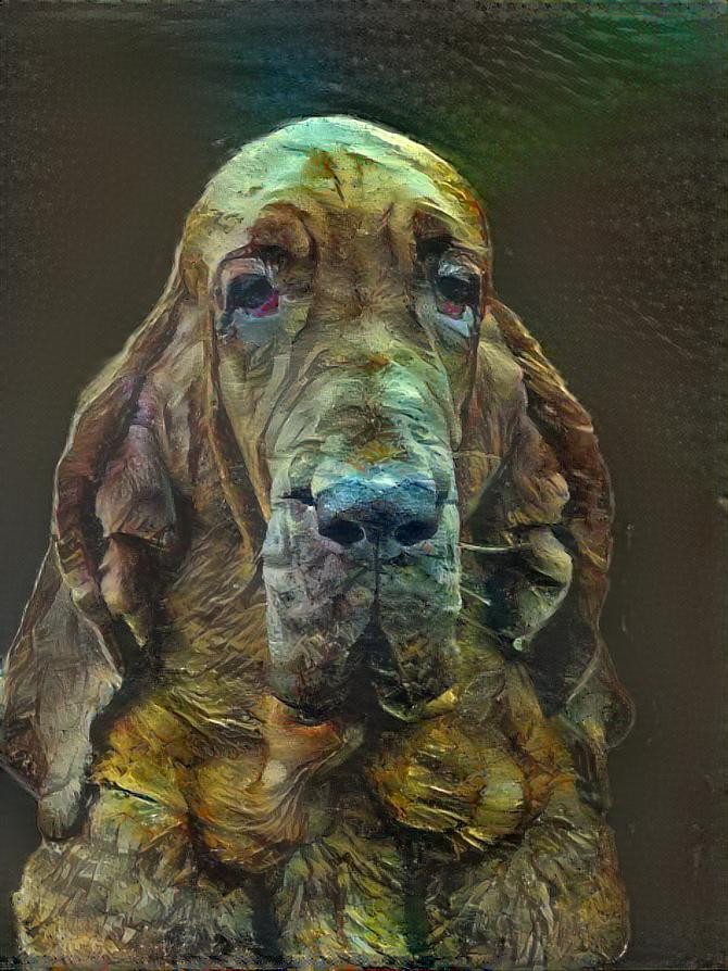 My bloodhound girl Klara