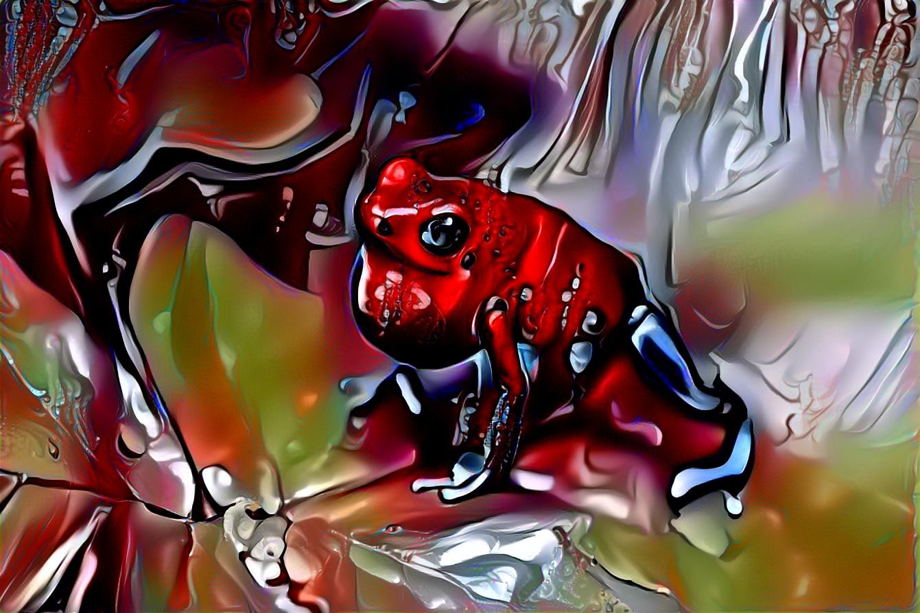 Strawberry dart frog