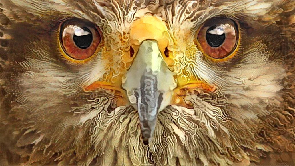 Deep Dream: Eagle (Ver.2)