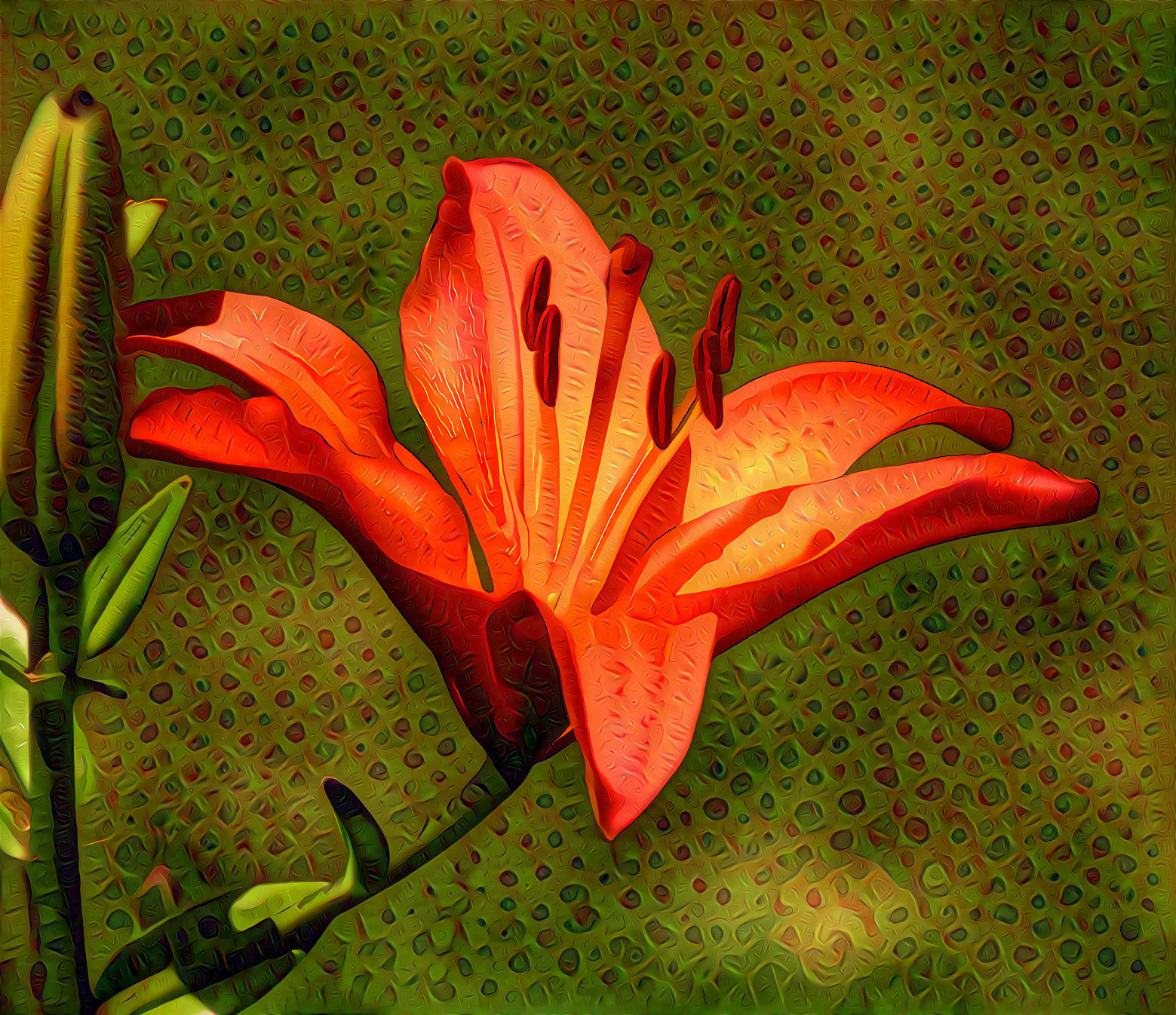 Orange Lily