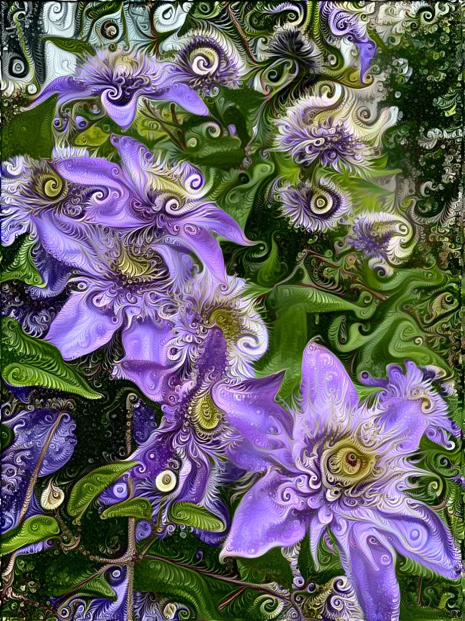 Fractal Flowers