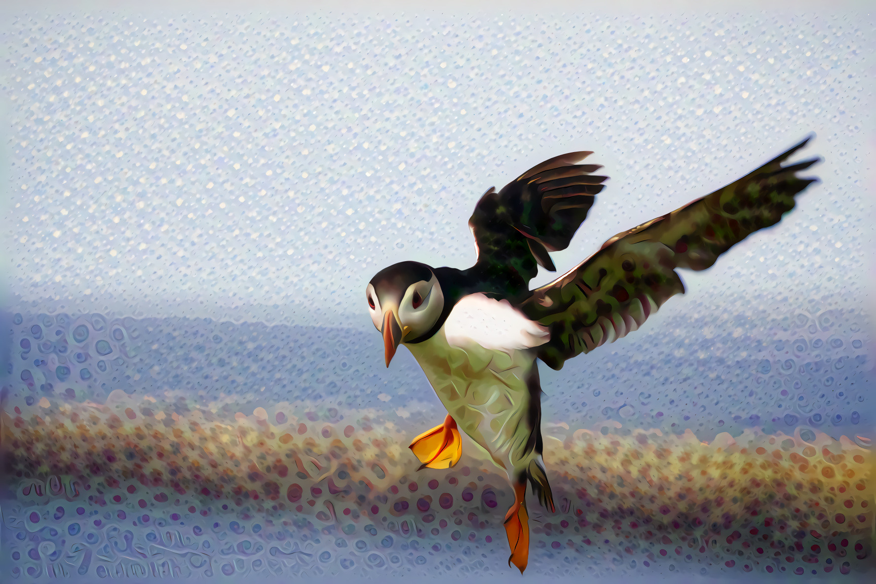 Scottish Puffin, the Highland Fling..