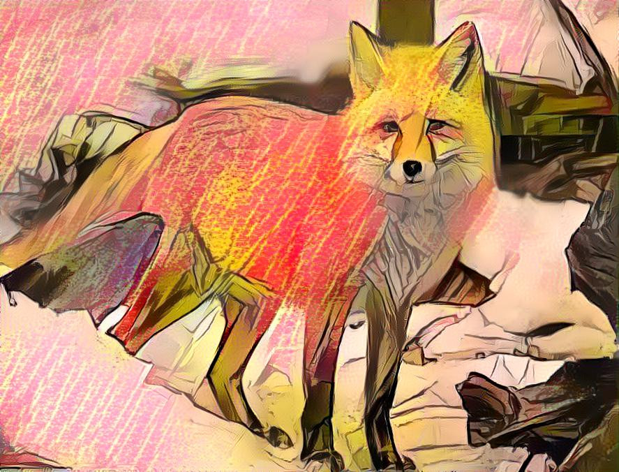 fox