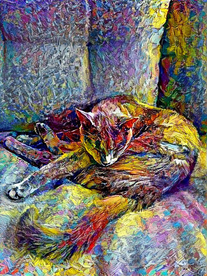 Catto colourful pastel