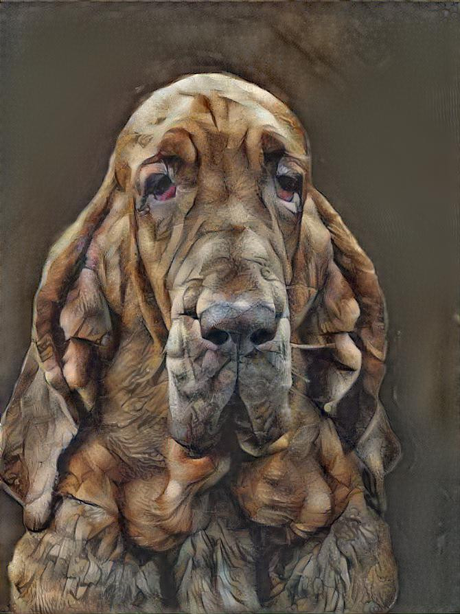 My bloodhound girl Klara