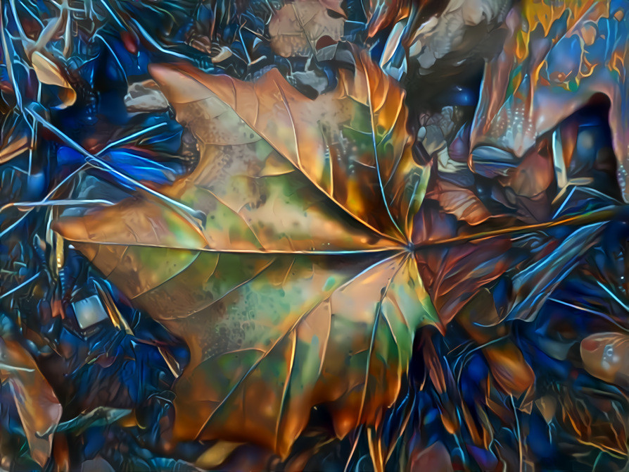 Autumn leaf (var.2)