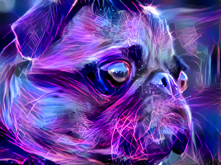 LazerPug