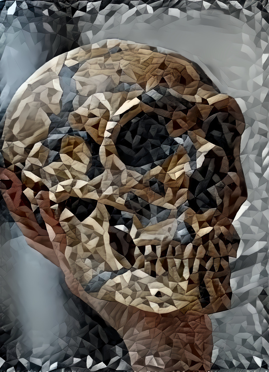 Quited Skull