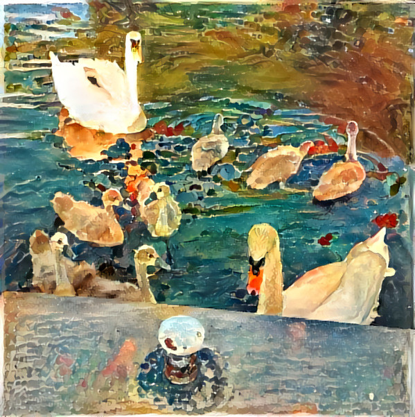 Swans