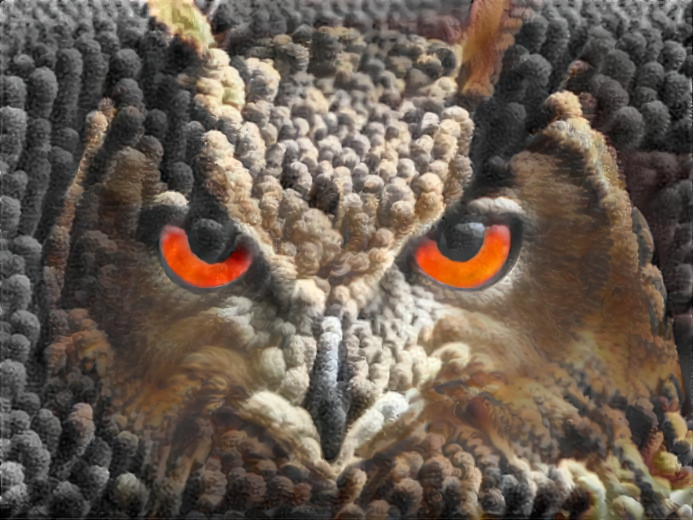 Owl